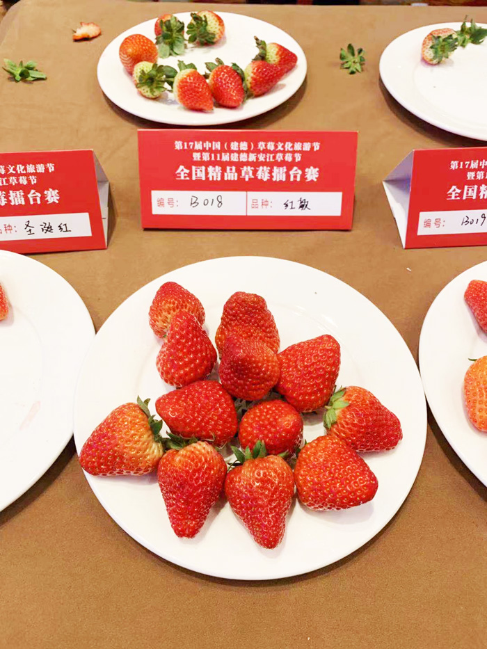 第17届中国(建德)草莓文化旅游节