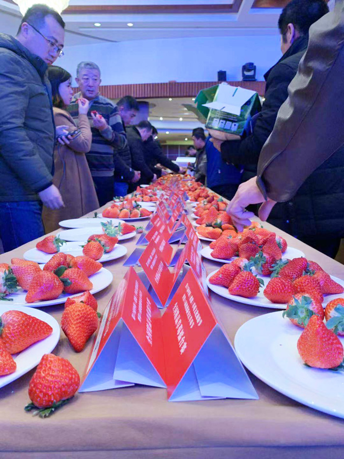 第17届中国(建德)草莓文化旅游节